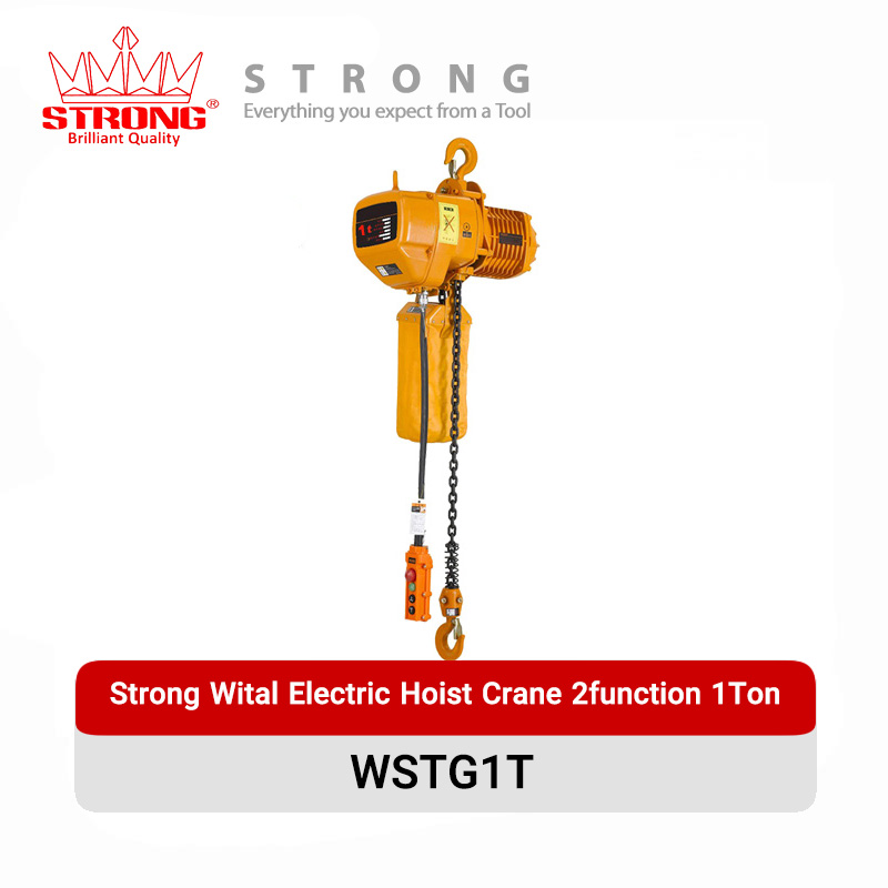 strong-electric_hoist_crane-1ton-2functional-wital-WSTG1T