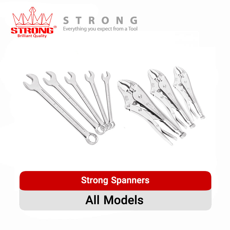strong-spanner-all_models